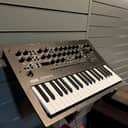 Korg Minilogue XD 2019 - Present - Black