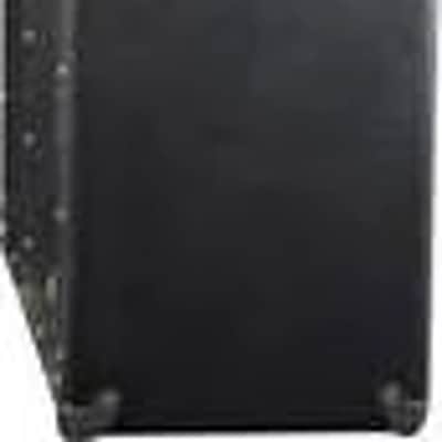 Fender Blackface Tremolux 2x10 Style Speaker Guitar Amp Extension Cabinet<br> image 4