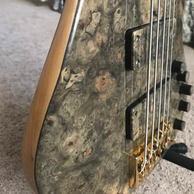 Devon J5 Modern Buckeye Burl image 6