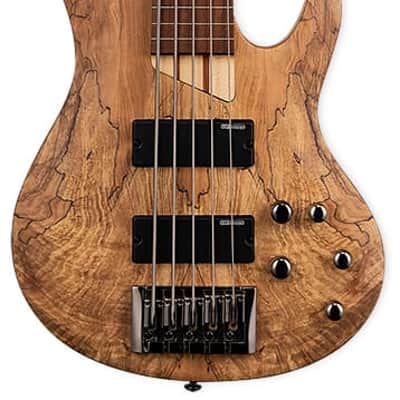ESP LTD B-205SM 5 String Fretless Bass. Spalted Maple Natural Satin image 1