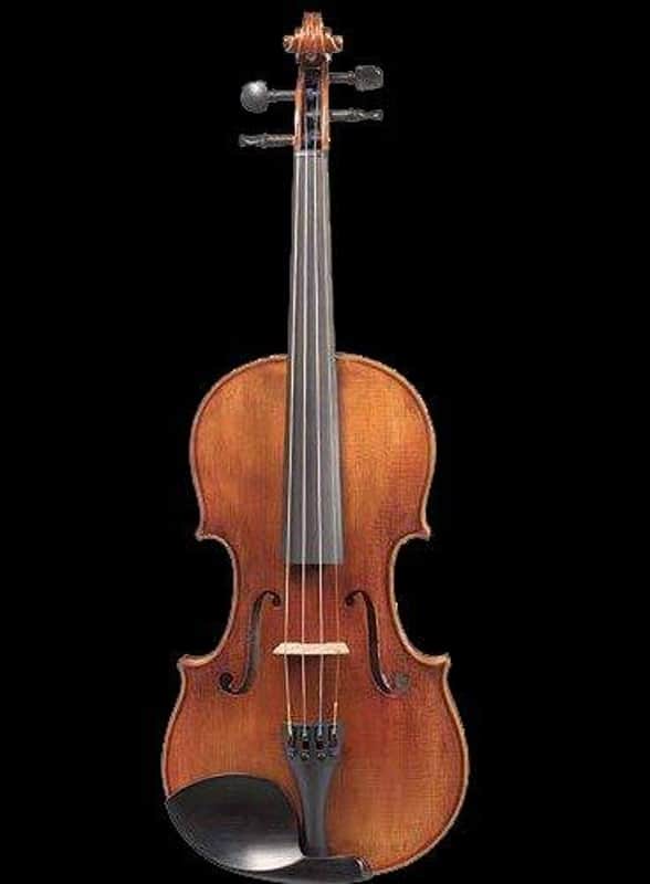 D Z Strad Viola - Professional Model 1000 image 1