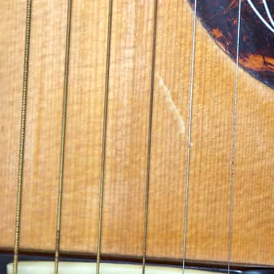 Rare Apollo Parlor No. 006 Acoustic Guitar With Hard Shell Case image 4