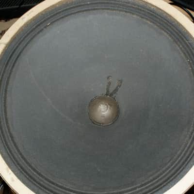 Ampeg B 15N CTS Custom Ampeg Vintage 1966 Speaker image 13