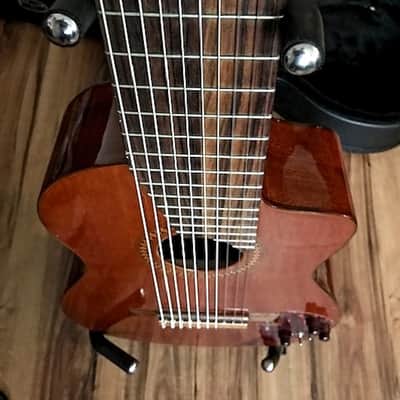 Cathedral 10 string clasical guitar 2013 with midi pickup image 15