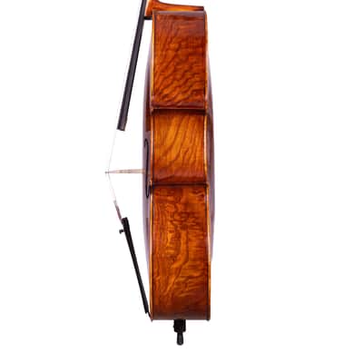 Goffriller Cello 4/4 from One Piece Back - Hand-Made in Romania 2025 #78 image 12