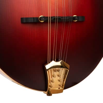 Gold Tone GM-80: F-Style Mandolin with Case image 3