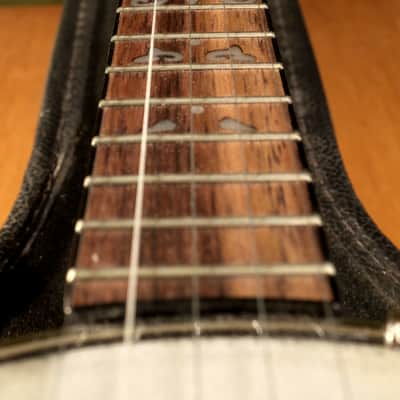 Samick Artist Series 5 String Banjo with case, like new! image 7