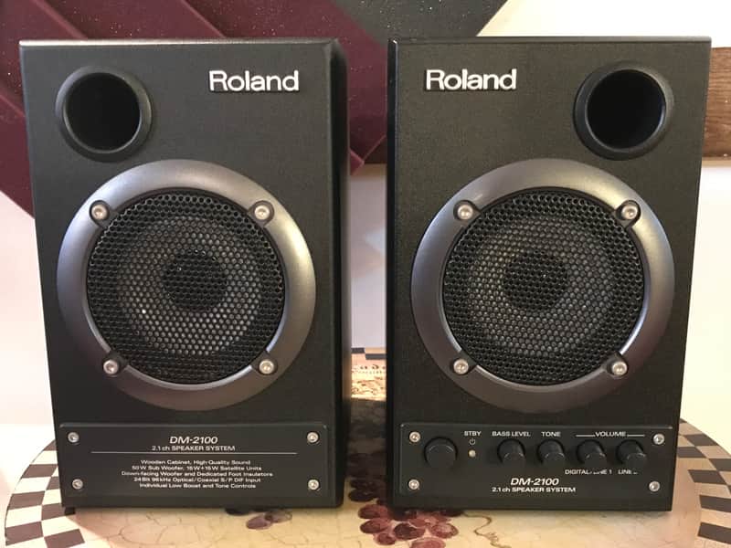 Roland DM-2100 2.1 Channel Speaker System image 1