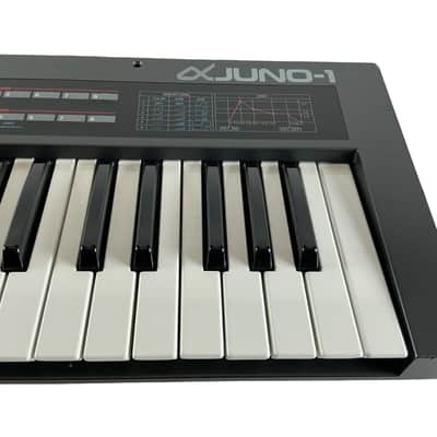 Roland Juno 1 *Expert Tested*Guaranteed* image 11