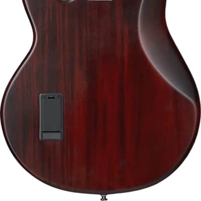 Sterling StingRay RAY4 4-String Bass Guitar, Jatoba Fingerboard, Walnut Stain image 3