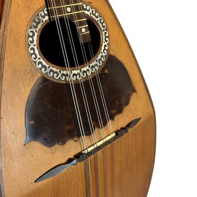 Mandoline de Concert Luigi Tamagno de 1904 image 5