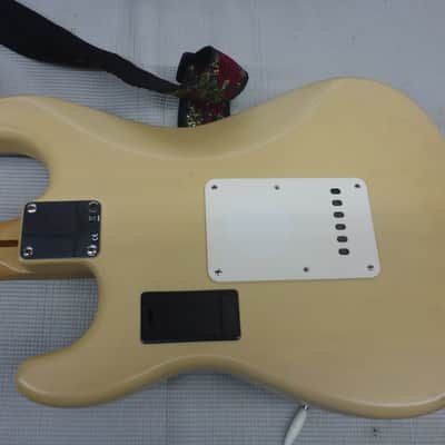 Fender Deluxe Powerhouse Stratocaster SSS w/Piezo Saddles : Crowned & Dressed Frets - Unfinished Roses Over OEM Color image 12