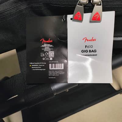 Fender California Newporter Player w/Bag! image 9