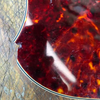 Vintage RARE 1966 Harmony H25 Bass Guitar Pickguard with Selector Switches Luthier Parts image 3