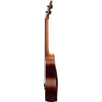 LAG Tenor Slim Arched Back Ukulele With Case image 4