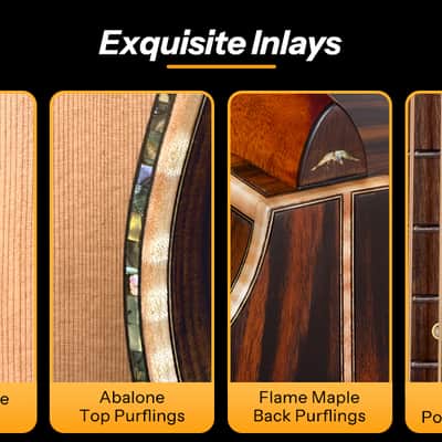 Bromo BAR 6 E SOLID TOP PARLOR SIZE ACOUSTIC GUITAR image 15