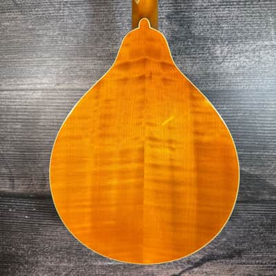 kentucky km-272 Mandolin (Torrance,CA) image 8