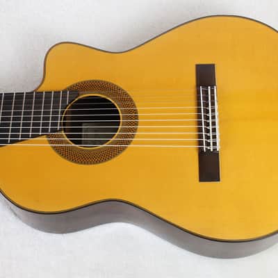 RARE 1989 Michael Menkevich Custom 10-String Classical Harp Guitar, Spruce/Brazilian, w/Case image 1