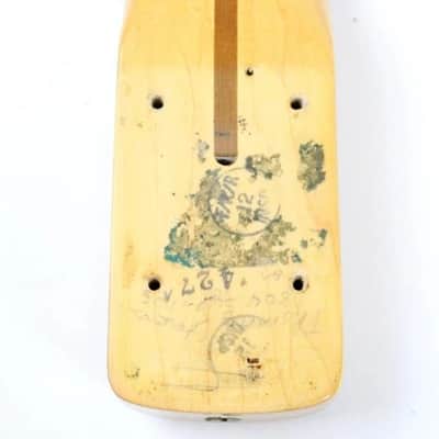 1977 Vintage Fender Precision Bass Lefty Maple 4-Bolt NECK Left-Handed 1970s USA PBass4-Bolt Neck image 19