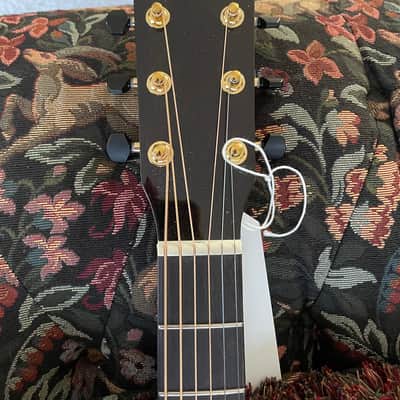 Breedlove Performer Pro CE image 4