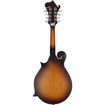Epiphone F-5 Studio Mandolin, Vintage Sunburst Satin, with Gig Bag image 6