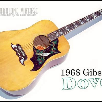 Alvarez 5025 ( Dove ) 68-69 Rosewood/spruce image 13