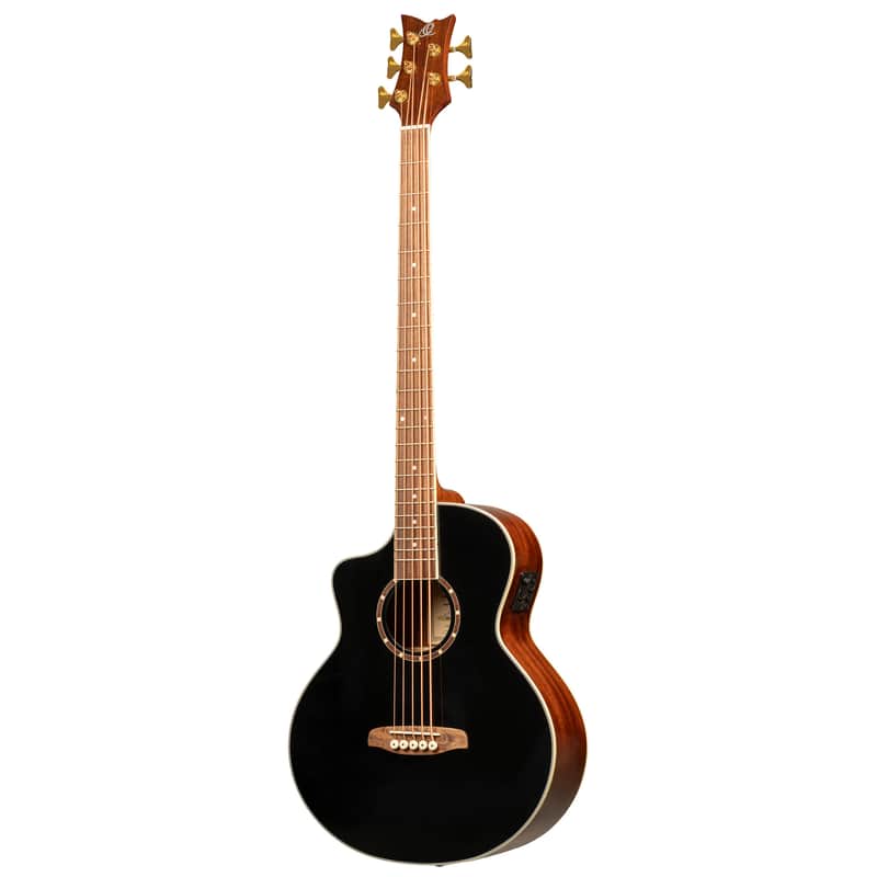 Ortega D8CE-5-L Deep Series 8 Spruce Top Medium Scale 5-String Acoustic-Electric Bass Guitar For Left Hand Player image 1