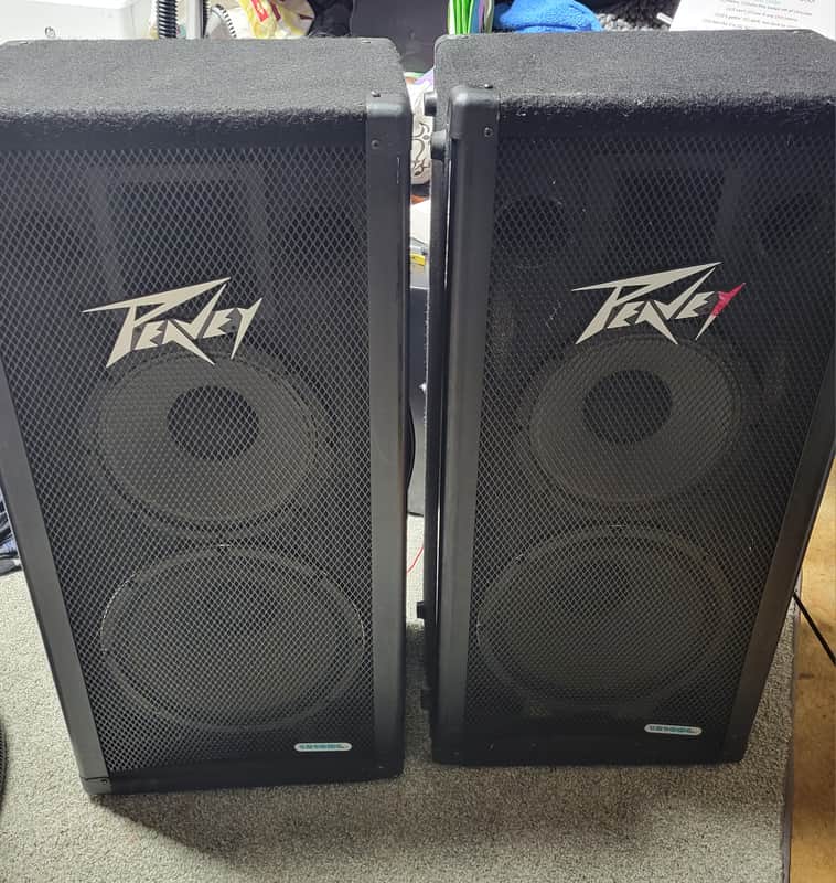 Peavey 1210DL speakers | Reverb