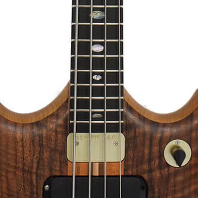 Alembic Brown Bass image 7