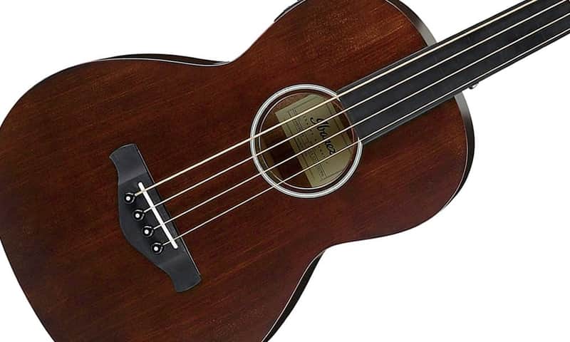 Ibanez AVNB1FE-BV Artwood Fretless 4-String Acoustic-Electric Bass-Brown Violin image 1