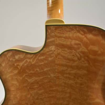 Jim Triggs Archtop Hollowbody Jazz Guitar New Yorker image 6