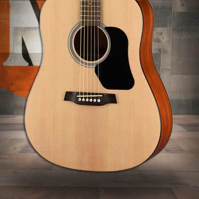 Walden D350 Standard Dreadnought Acoustic - Gloss Natural (D350/W) image 1
