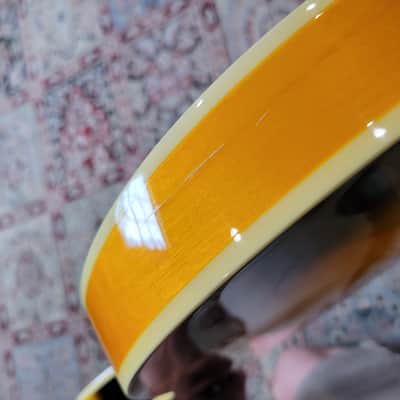 Epiphone The Dot Semi-Hollow Body Electric Guitar W/ Hard Case - 2007 - Vintage Sunburst (C013-G11) image 12