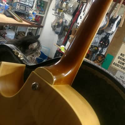 Epiphone ES-175 2004 Natural image 3