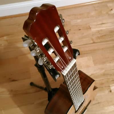 J. Reynolds Classical Acoustic/Electric Nylon String JRC10 Natural Gloss image 4