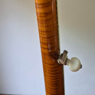 Deering Calico 5-String Banjo 2010s - with hard case, capo spikes, capo image 11