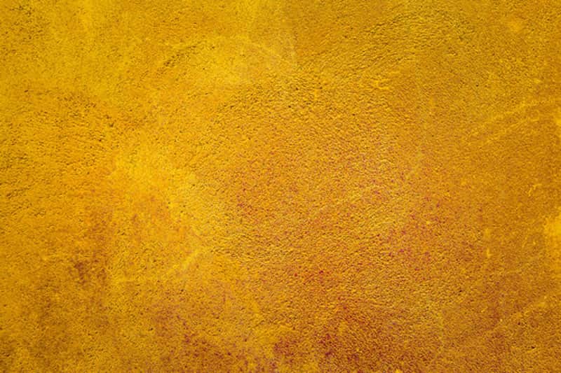 Gorgeous certified Italian Cello by L. Laterrenia 2020 (pupil of O. Bignami) image 1
