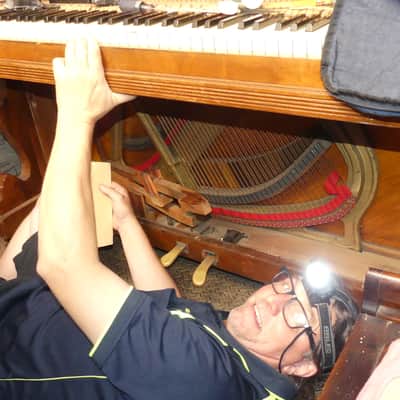Super Rare Find Antique Free Sydney Delivery Upright Piano Wilhelm Spaethe Gera Made in Germany Burr Walnut Rare Vintage C1910s Restored Tuned Recording Available On Request image 12