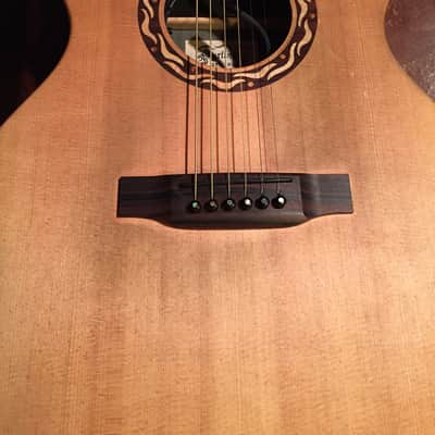 Martin XC1T Ellipse w/Fishman Ellipse Matrix Blend image 5