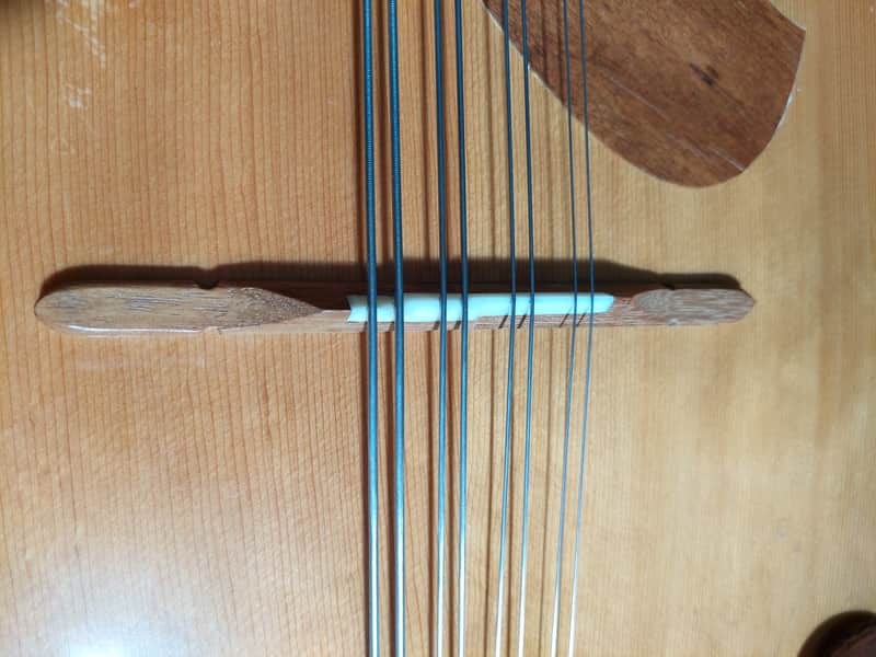 Suzuki MC-836 Mandocello / Mandoloncello | Reverb