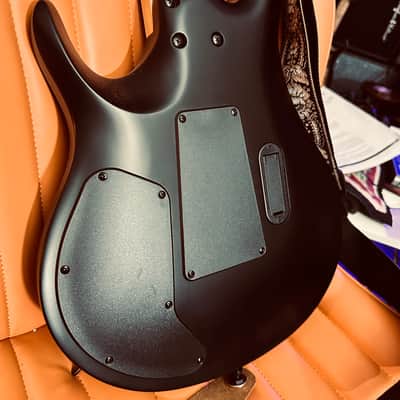 ‘25 PRS | SE | Chleo | Herman Li Signature | Mantis Burst | Jade Amulet Truss Rod Cover | MINT! image 5