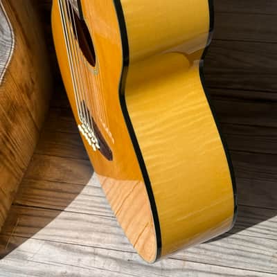 Tobias Toby Pro 5ce 5 String Acoustic Bass image 10