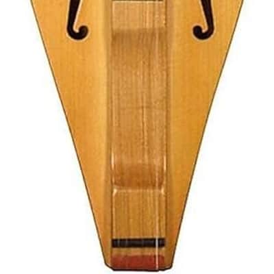 Applecreek ACD100K Teardrop Dulcimer with Case & Music Book image 2