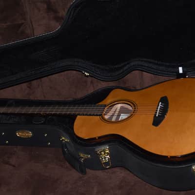 Breedlove Thinline Performer Pro Concert 2024 - high gloss image 4