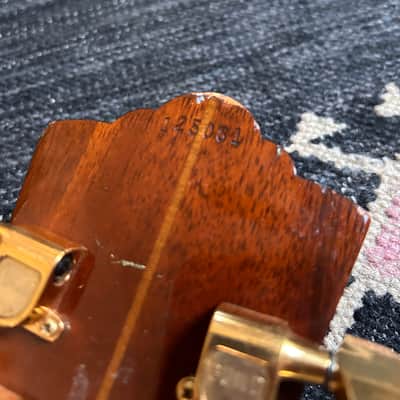1975 D-55 Left Handed Dreadnought Guitar (Westerly RI!) image 14