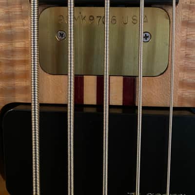 Alembic Mark King Signature 5-String image 9