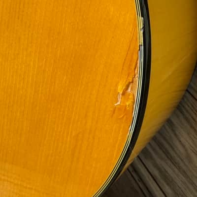 Tobias Toby Pro 5ce 5 String Acoustic Bass image 7