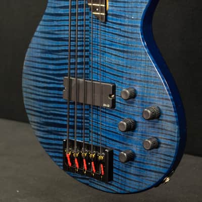 Bolin NS design 5 string Trans Blue - 10023169 image 4