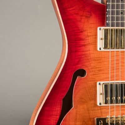 Baldacci Bighorn Semi-Hollow 2020, Sunburst image 5