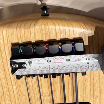 Warmoth 5 string fretless Gecko bass 2021 image 7